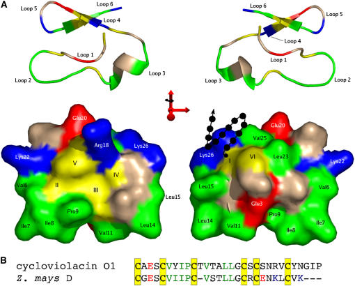 Figure 5.