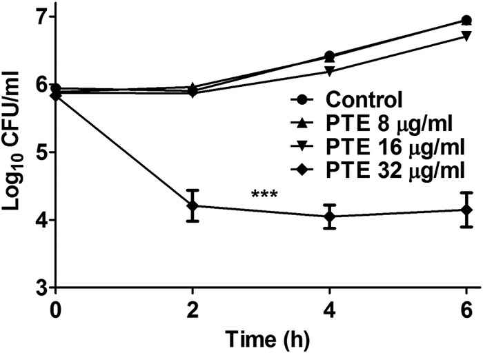 FIG 2