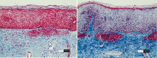 Fig. 4: