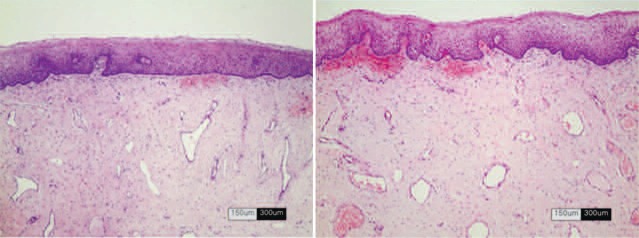 Fig. 3: