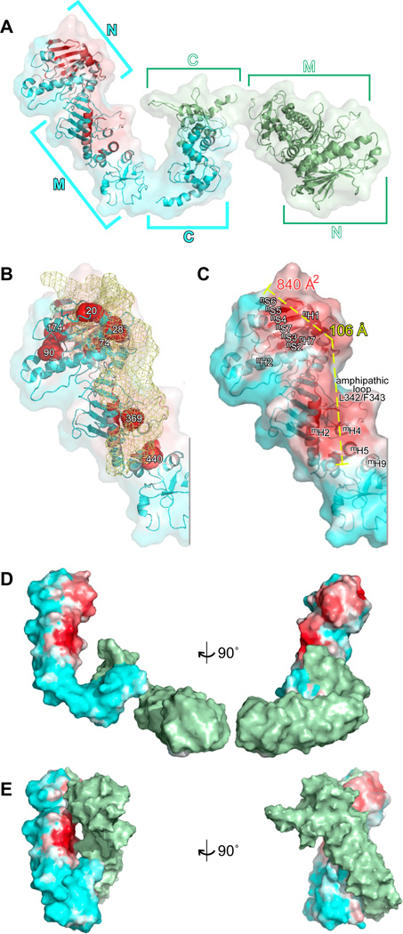 Fig. 4