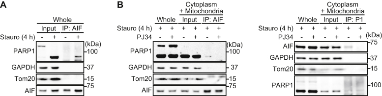 Figure 5