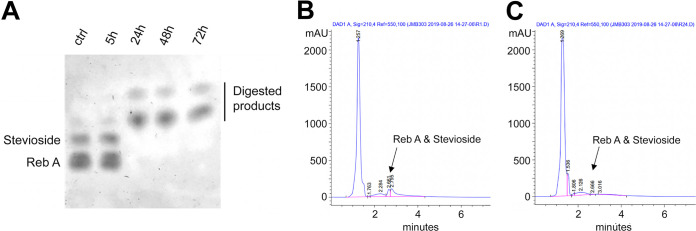 FIG 1