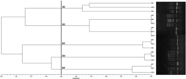 FIGURE 3