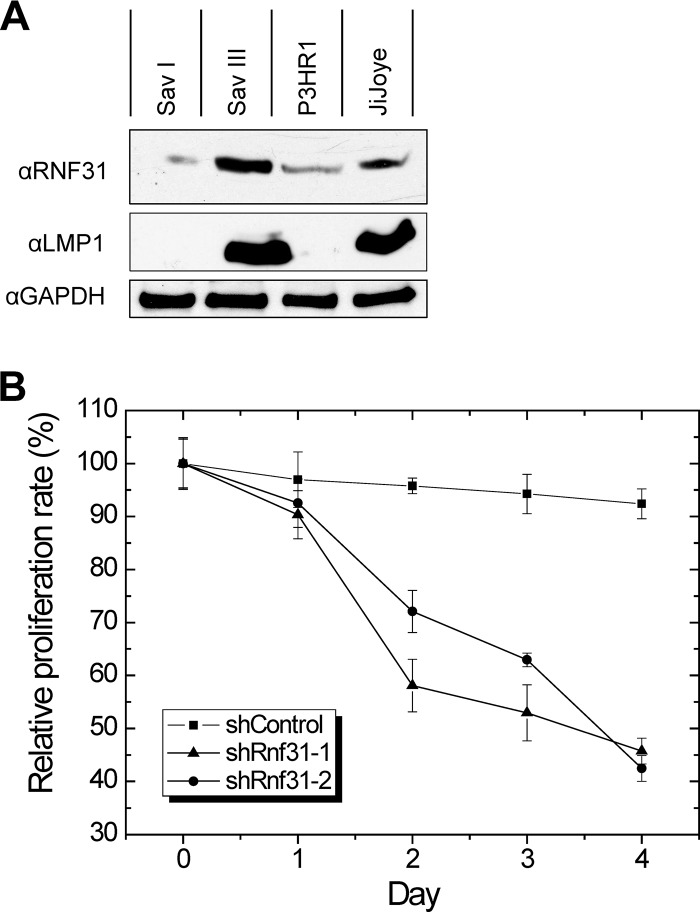 FIG 6