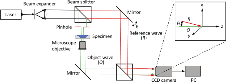 Fig. 2.