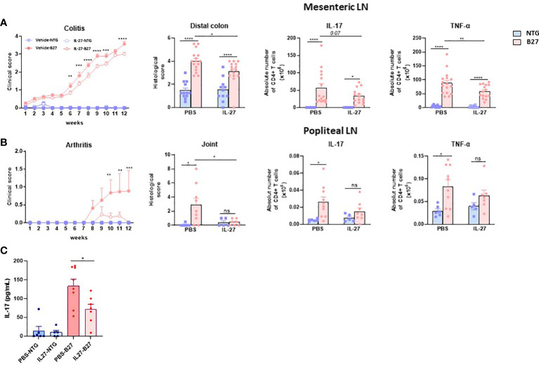 Figure 6