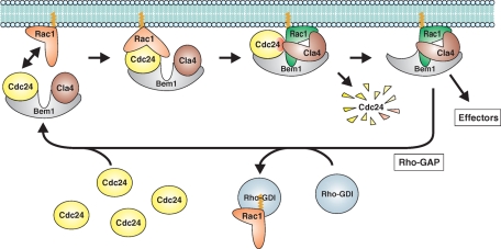 FIGURE 6: