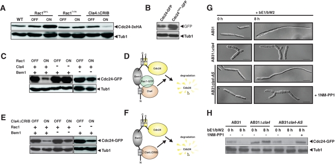 FIGURE 3: