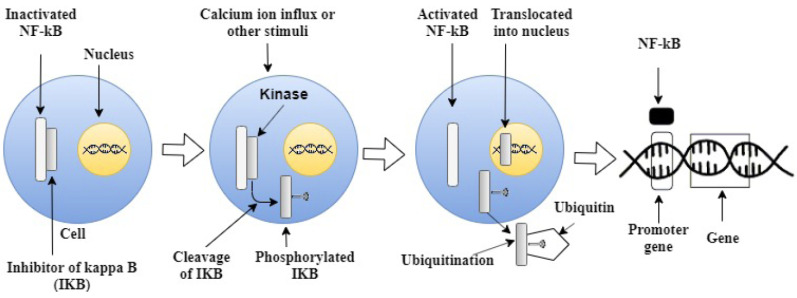 Fig. (1)