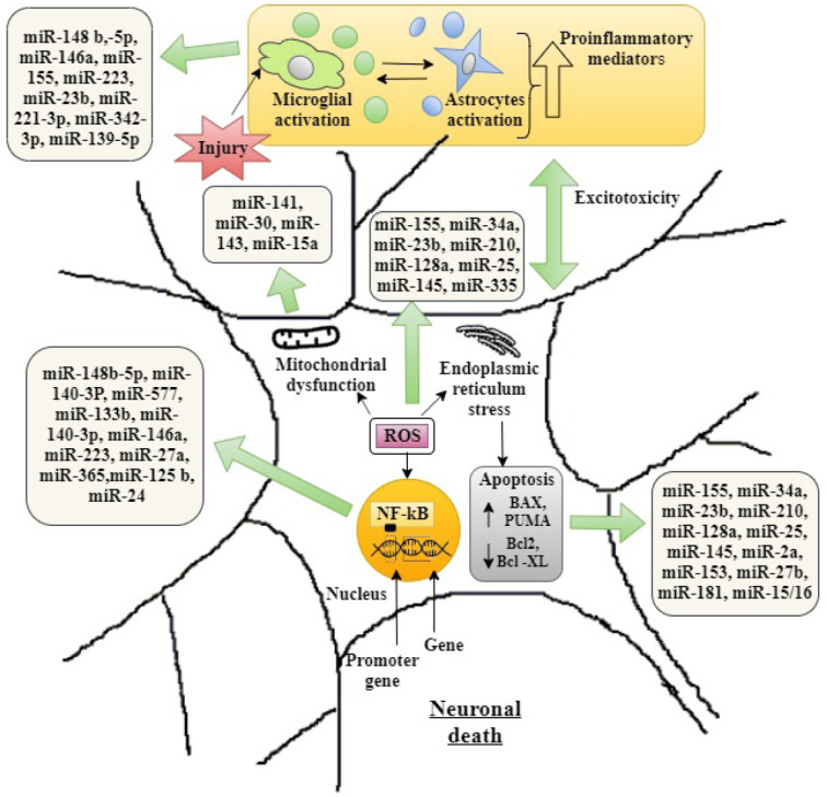 Fig. (3)