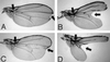 FIG. 7