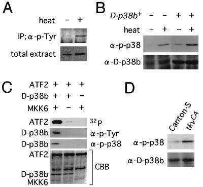 FIG. 8