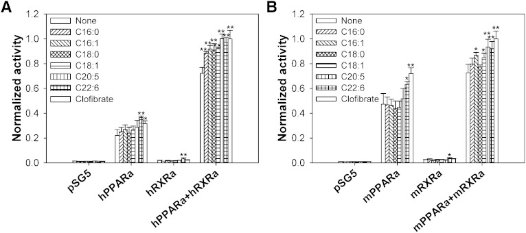 Fig. 7.