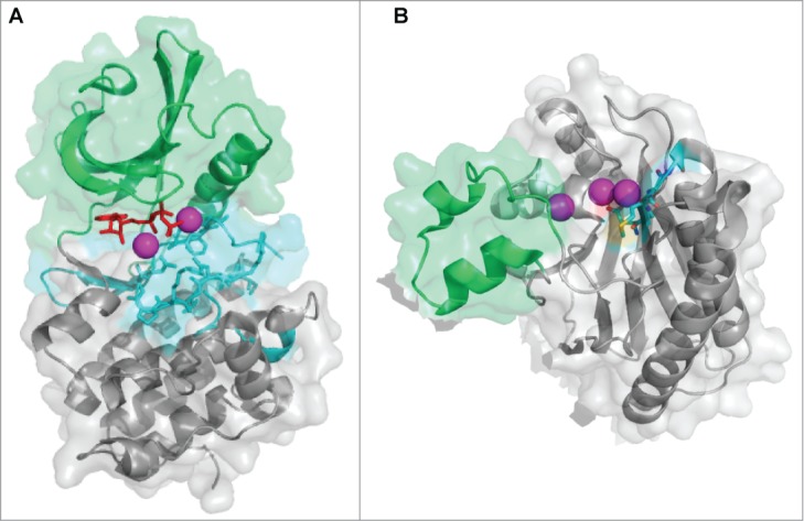 Figure 2.