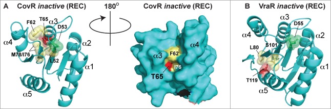 Figure 9.