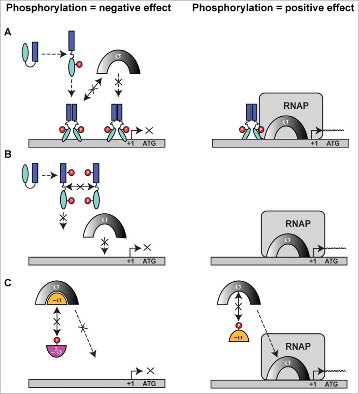 Figure 10.