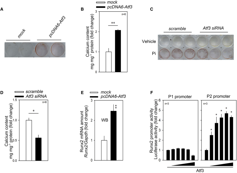 Figure 6