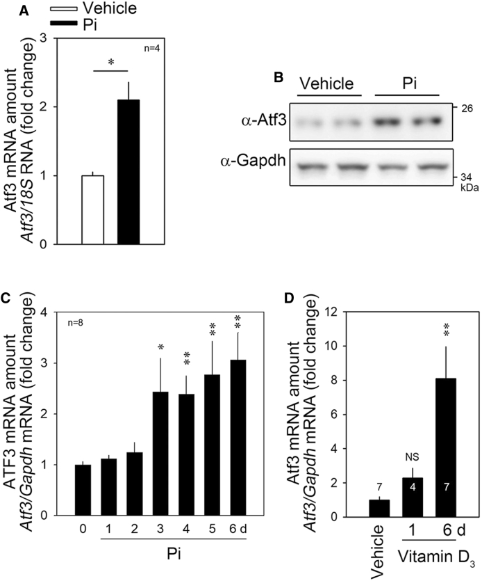 Figure 4