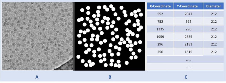 Fig. 7