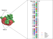 Fig 7
