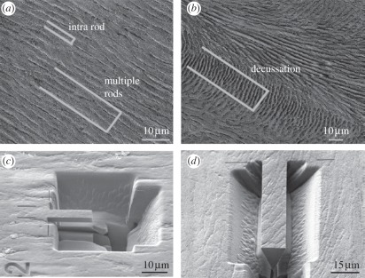 Figure 2.