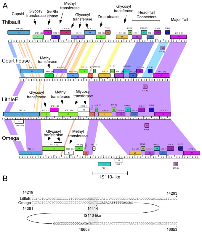 Figure 11