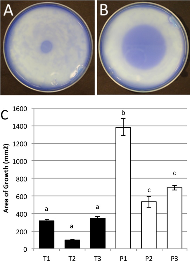 FIG 1