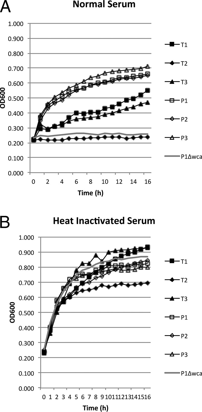 FIG 4