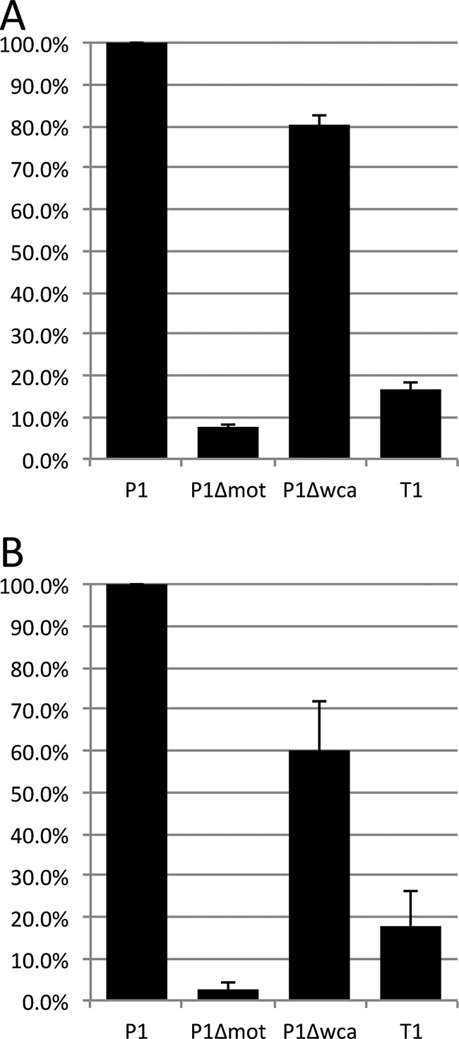 FIG 3