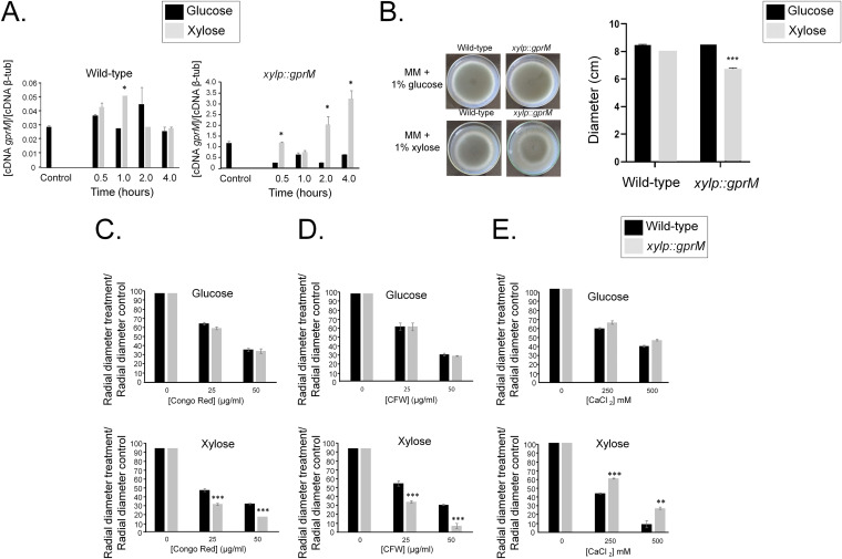 FIG 2