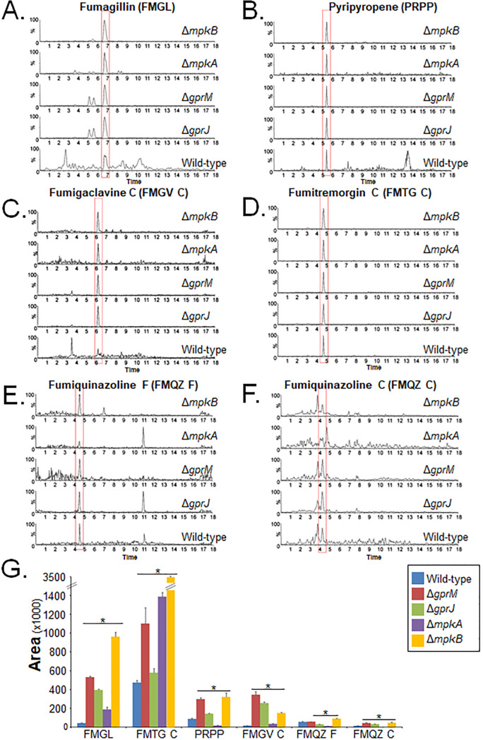 FIG 10