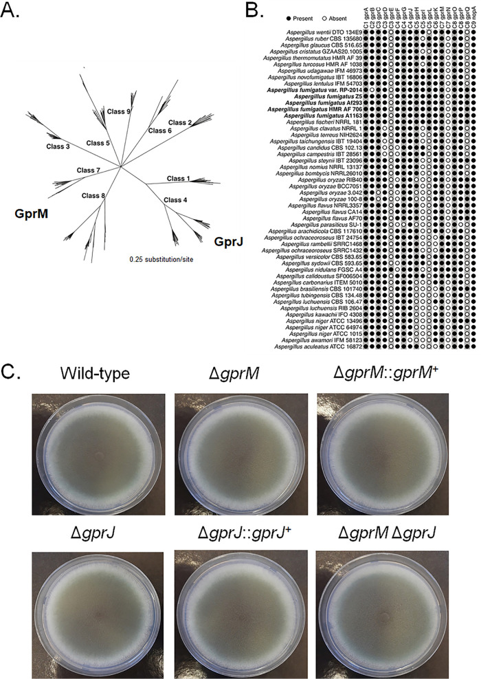 FIG 1