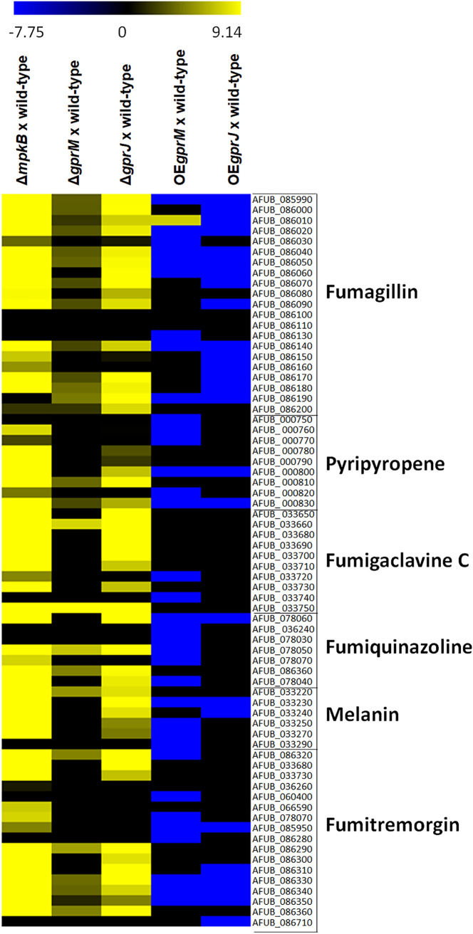 FIG 9