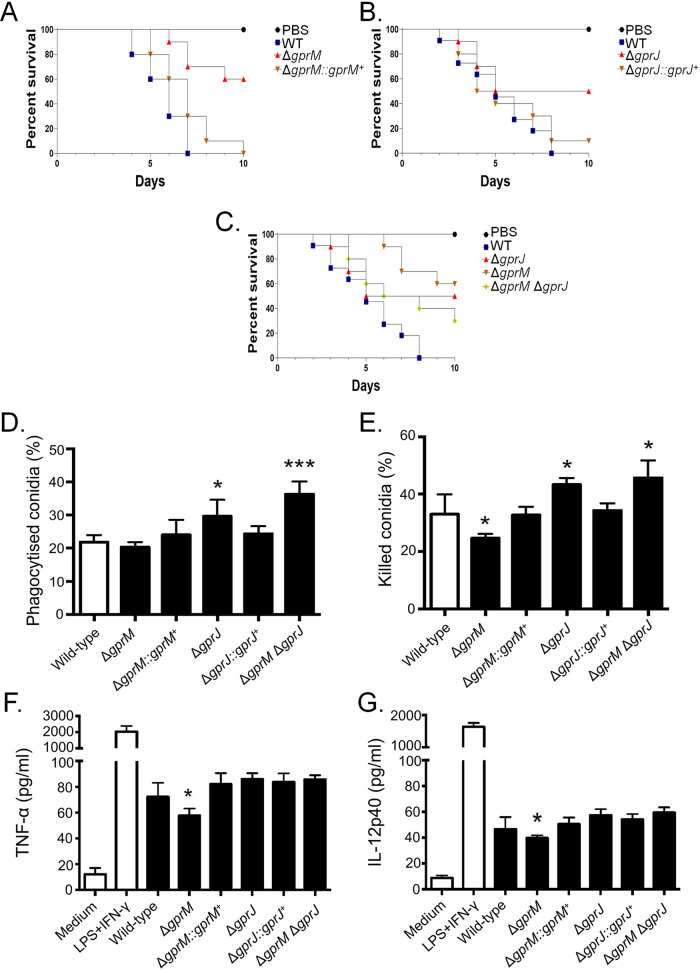 FIG 12