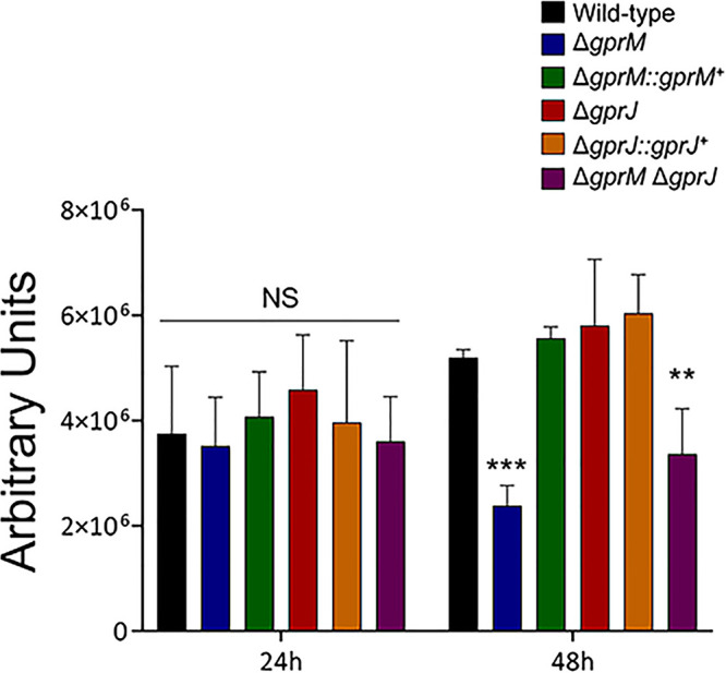 FIG 6