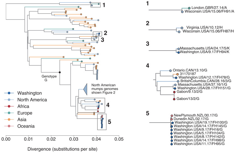 Figure 2—figure supplement 3.