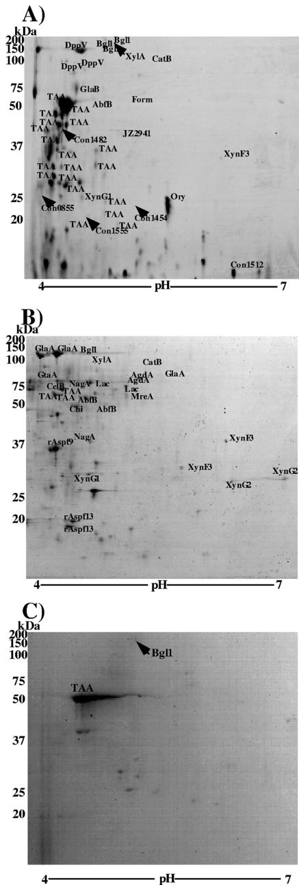 FIG. 3.