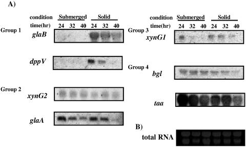 FIG. 6.