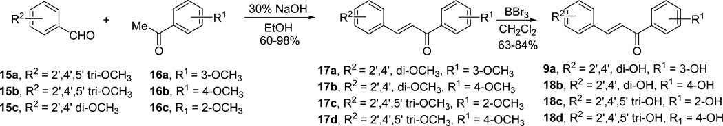 Scheme 1