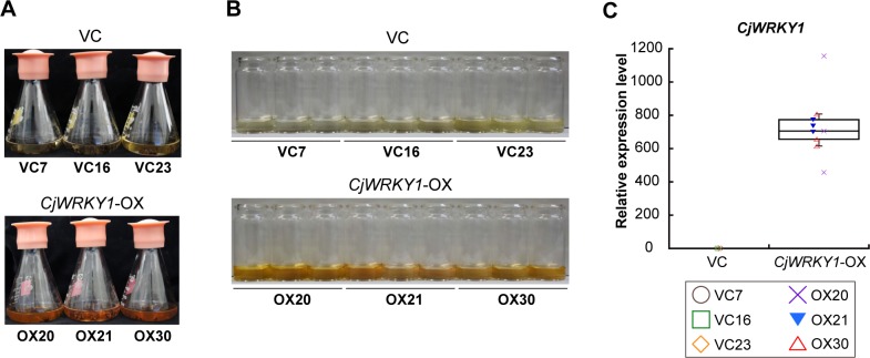 Fig 2