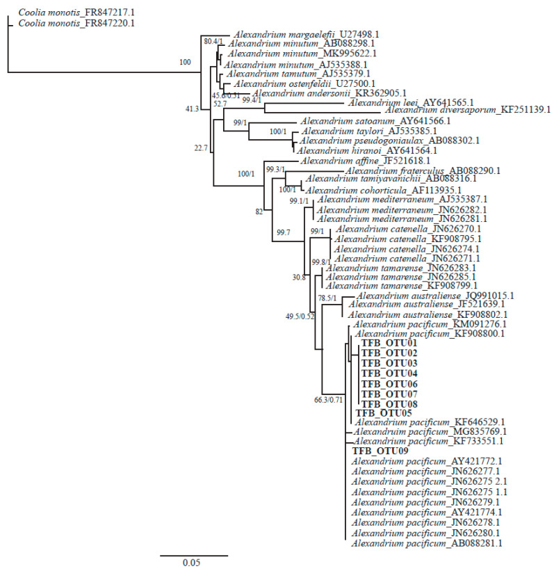 Figure 4