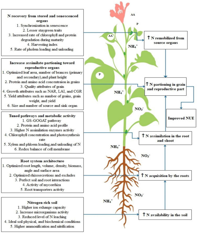 FIGURE 3