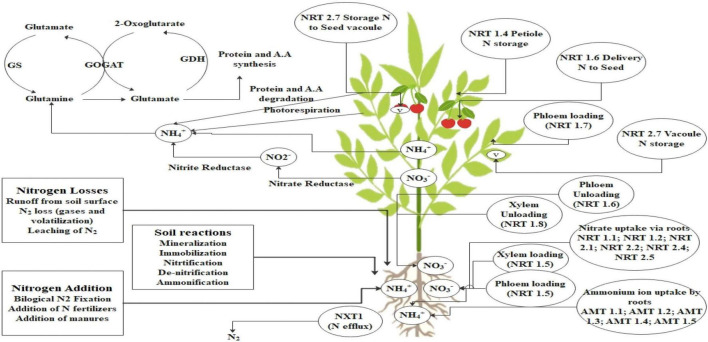 FIGURE 1