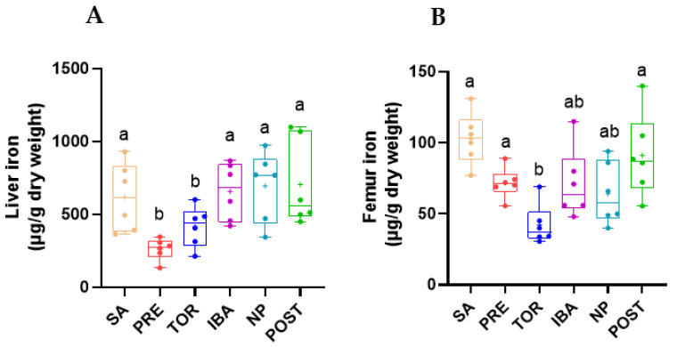 Remarkable Plasticity of Bone Iron Homeostasis in Hibernating Daurian ...