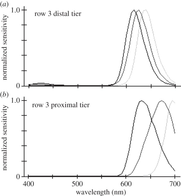 Figure 6.