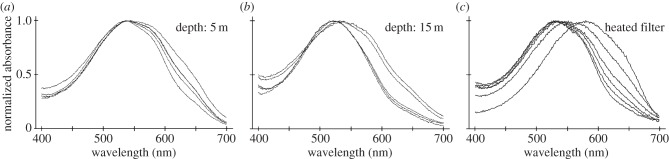 Figure 5.