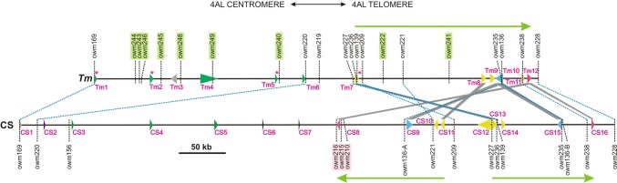 Fig. 2