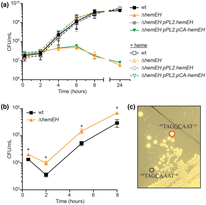FIGURE 6