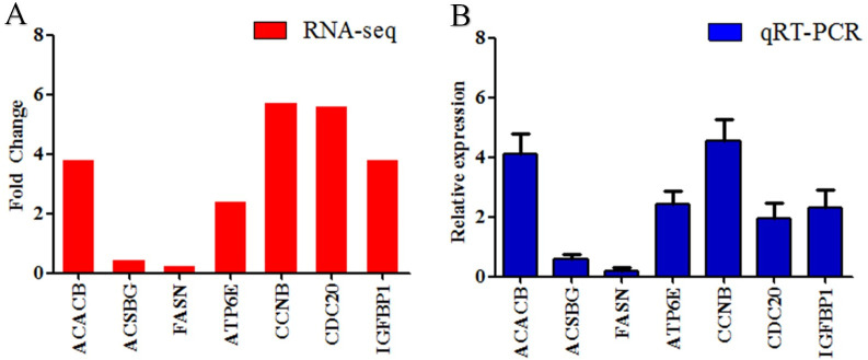 Fig 6